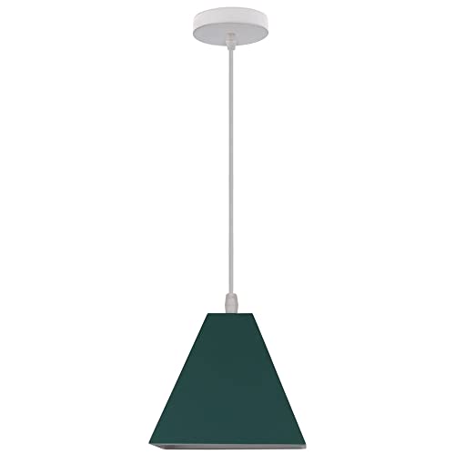 SYAXVOM Lustre LED, Petit plafonnier à Une tête, Suspension en Fer forgé au Design Original, Lustre de Style Nordique, luminaire décoratif pour Chambre à...