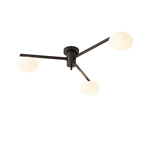 Plafonnier globe en verre en laiton noir de plafond d'art moderne luxe