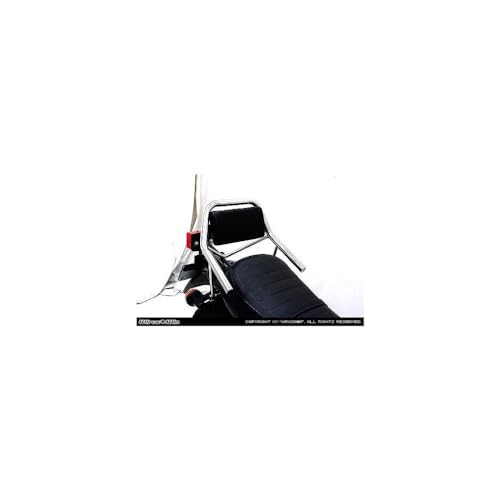 Amazon | ウイルズウィン(WirusWin) バックレスト付き タンデムバー