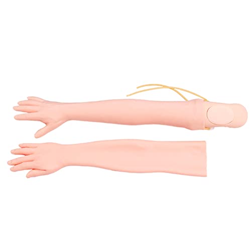 Modèle d'entraînement à la ponction veineuse avec peau interchangeable - 2