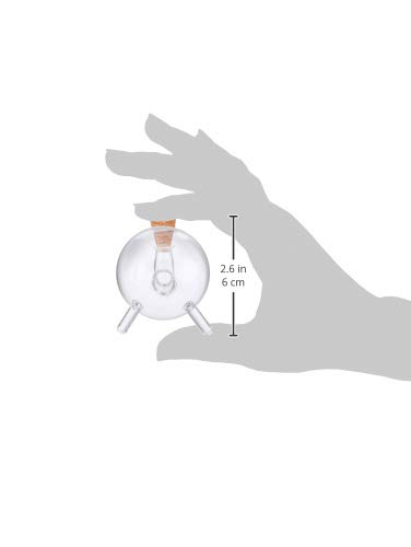 Amazon.co.jp: GeckoDesign ゲッコーデザイン インクウェル ガラス