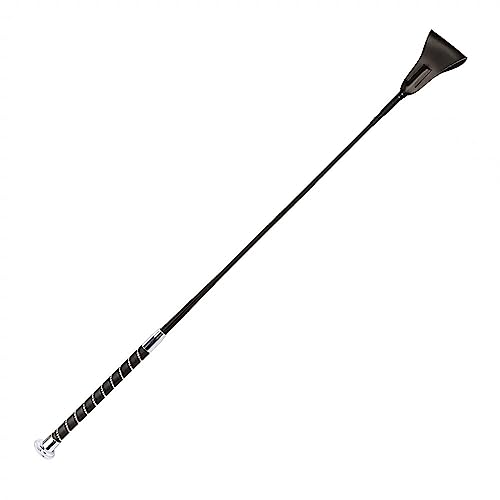 np̕ n _Ch΂߂ꂽGNGXgA V[g zCbv RfBVjO npi n np