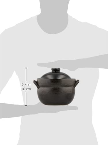 Amazon｜ご飯土鍋 炊飯鍋 利行黒釉 ごはん鍋 （2合炊） 万古焼