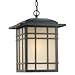 One Light Bronze Hanging Lantern