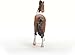 Schleich Horse Club- Mangalarga Marchador Stallion Horse Figurine - Pony Figures for Girls and Boys - Kids Ages 5+
