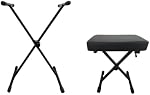 Casio LKS250BK 61 Lighted Key Portable Keyboard Piano Kit with Premium Stand and Bench - Compact, Lightweight and Easily Portable - USB to Host Micro B Port - Black