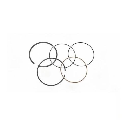 Segments de piston pour Stels Guepard 800 et RM800 mécanique russe