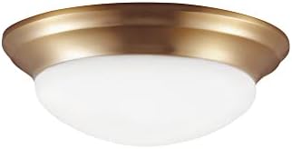 Generation Lighting 75434-848 Transitional One Light Flush Mount from SeaGull - Nash collection in Bronze / Dark finish,