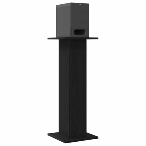 vidaXL Supports de Haut-Parleur 2 pcs...
