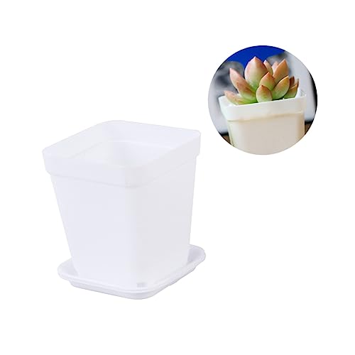 BESPORTBLE Vasi Di Fiori in Plastica Quadrati Spessi 7x7 Cm Fori Di Drenaggio, Piccoli Vasi Plastica Per Piante Succulente, Set Da 6 Pezzi Fondo Rialzato Per Balcone, Ufficio e Soggiorno