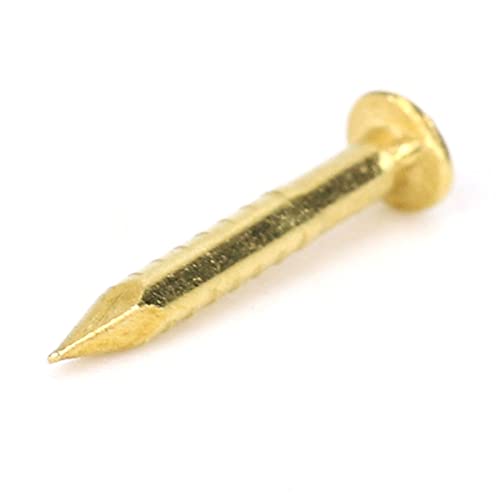 Clavos Dan&Dre Cabeza Redonda de Latón 100 piezas para Bisagras de Muebles 10mm miniatura 7