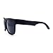 Kush Mens All Black Oversize Horn Rim Sunglasses Matte Black