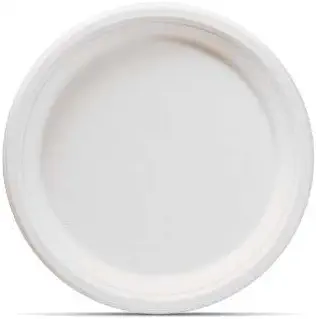 Isa&amp;Bell Good Home Products 10&#34; (125-Pack) Paper Plates Eco-friendly - Biodegradable Paper Plates - Compostable Paper Plates