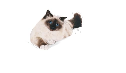 Royal Canin Hairball Care 400G, All Life Stages, cat