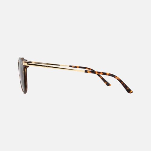 Carve 36081 Frankie Gloss Tort Gold Metal Grey Lens3