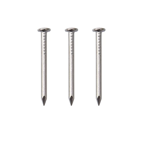 Image of JEGONFRI 900PCS 3 /4 inch Nickel Flat Head Nails for Hanging Pictures & Woodwork | Premium Carbon Steel Build, Rust-Resistant Nickel Finish, Consistent Size & Strength