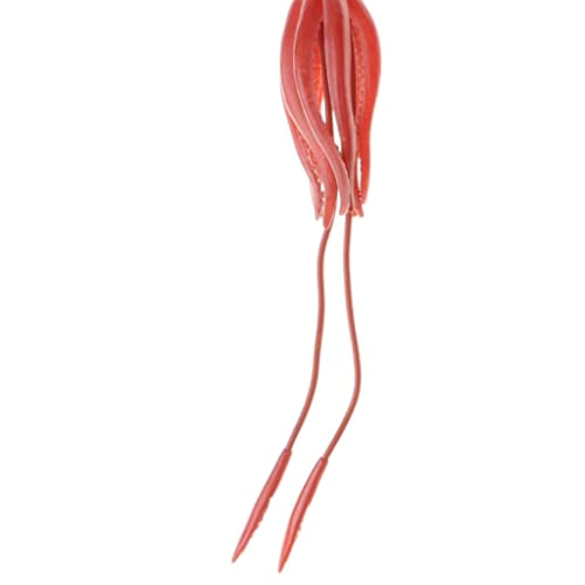 Simulation Wild Animal Model Figure for Home Decor