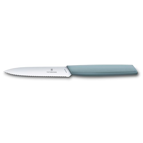 VICTORINOX(rNgmbNX)yAmazon.co.jpzp[OiCt ؂ꖡ悢yeBiCt ʕ t[c 10cm gn A[i HΉ XCX_ 6.9006.10W21