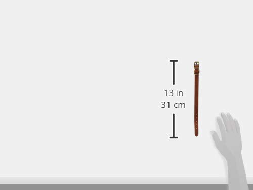 Ancol Latigo Flexibles, dehnbares Hundehalsband, Kastanienleder, Haustier-Trainingszubehör mit antikgoldenen Befestigungen, weich und belastbar, Größe 1–20–26 cm