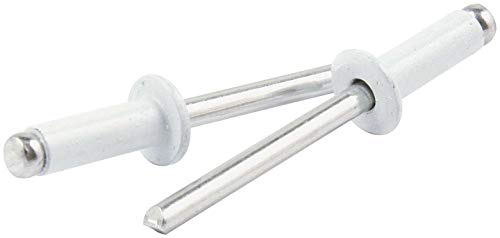Rivets à petite tête aluminium blanc 6,35 mm Allstar ALL18116 fixation tôle