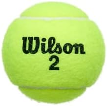 WILSON Championship Tennis Balls - Extra Duty, Single Can (3 Balls) - 2