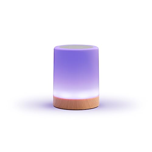 LuvLink Friendship Lamp v2.0 - Long Distance WiFi Touch Lamps for Couples Friends & Family | Stay Connected from Anywhere Easy App Setup No Subscription (Single)