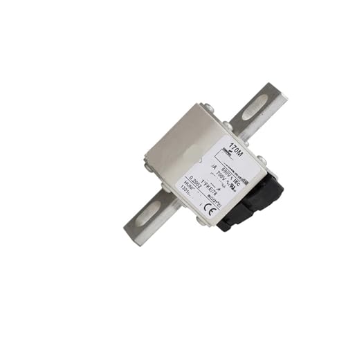 Fusible basse tension 170M3901 690 V 1 kA pour éviter les pannes de courant dues aux surcharges