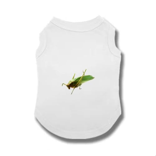 [QINTIW] �� �� ���� ���̕� �ĕ� ������ ���Ȃ� �m�[�X���[�u ������ �t �� �t�� �t�� XS �ėp �t�@�b�V���� �����^�� ���p �m�� �z���C�g ���� ������^�����L�� �ʋC ���₩ ���U�� ���o���� T�V���c �h�b�O�E�F�A