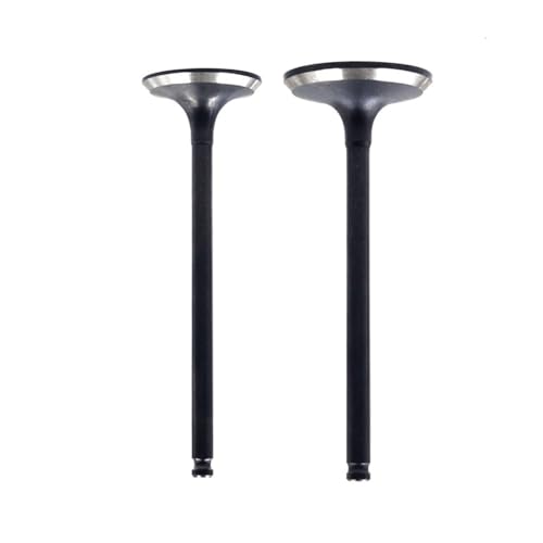 Soupapes YZ250F de haute précision pour une compression moteur maximale WR250F