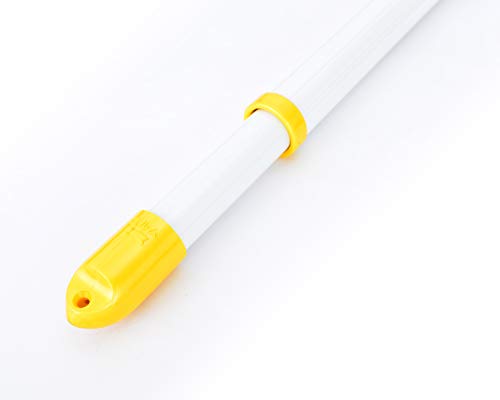 Lb  LkƎKтȂA~(1.5m2.6m܂ŐLтj{̃J[FzCgiLbvFCG[j