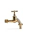 Produktbild LIVLIG Aussenwasserhahn mit Schlauchverschraubung 1/2 Zoll, Wasserhahn Gold, Gartenhahn aus Messing, Kaltwasserhahn mit 1/2 Zoll Wandanschluss, Polly