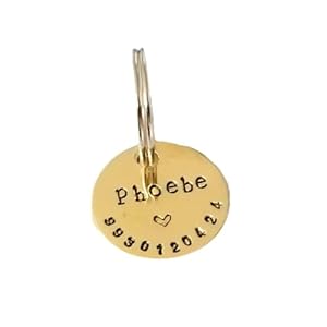 Streetsoul Pet ID Personalized Hand Stamped Circular Shaped Tag for Small Pet Dog, Cat ID Customized Dog Tag (Brass)