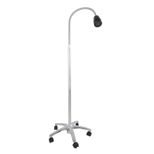 Lampe d'examen pour dentaire et ORL, modèle mobile à LED pour soins vétérinaires