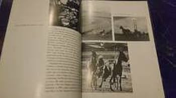 Viva Macau! 1980年 マカオ写真集 英語 ハードカバー 大型本 Amazon.co.jp: Viva Macau! 1980年 マカオ写真集 英語 ハード
