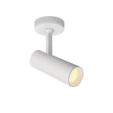 LED Adjustable Celling Spotlight,Modern Fixture Directional Spot Light for Indoor Foyer Living Room