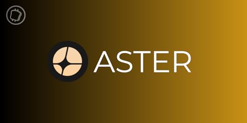Page de couverture de Aster devient le DEX perpétuel numéro 1 de la BNB Chain - Véritable phénomène ou feu de paille ?