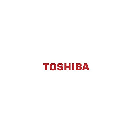 Toshiba 4402843380 Ozone Exit Filter 2052-1563