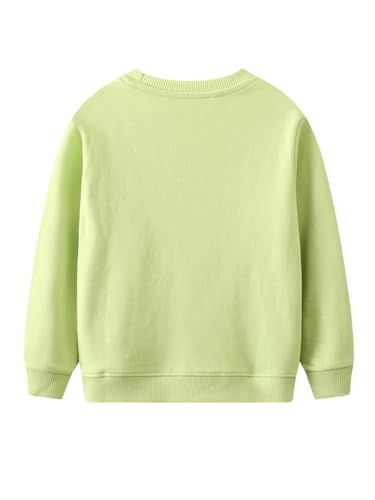 Boys Sweatshirts Casual Sweatshirts Cotton Sweatshirts Long Sleeve T-shirts Crew Neck Cartoon Tops for Boys-1552