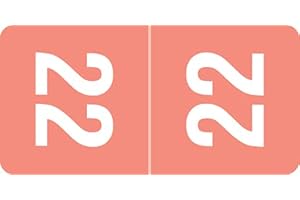 Smead Monthly Tab File Folder Labels, 1/2" x 1" 2022 Year Stickers