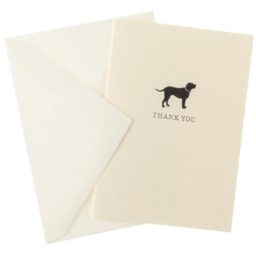 Image of Graphique La Petite Presse Boxed Blank Thank You Cards - Black Lab with Gold Foil - Perfect Thank Yous for Gifts, Weddings, Bridal Showers, and More - Pack of 10 Cards with Envelopes (3.25 x 4.75 inch)