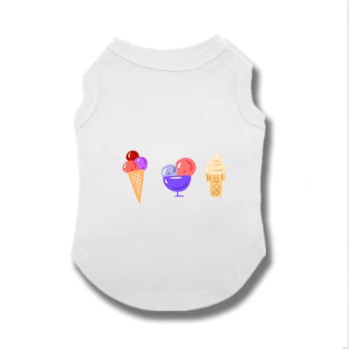 [XANPYO] ybg t ĕ  ʋC hbOEFA ybgEFA p _炩  Eѕی  EȒP t@bV ^ L ₩ o S