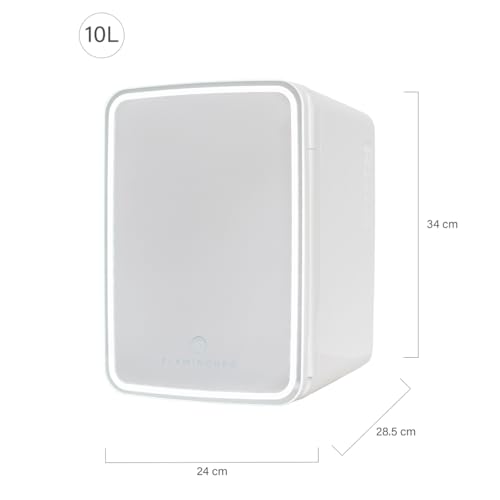 Flamingueo Mini Kühlschrank 10L - Kühlschrank Klein Led und Spiegel, 12V/220V, Mini Fridge, Kosmetik Kühlschrank, Skincare Fridge, Kleine Kühlschränke