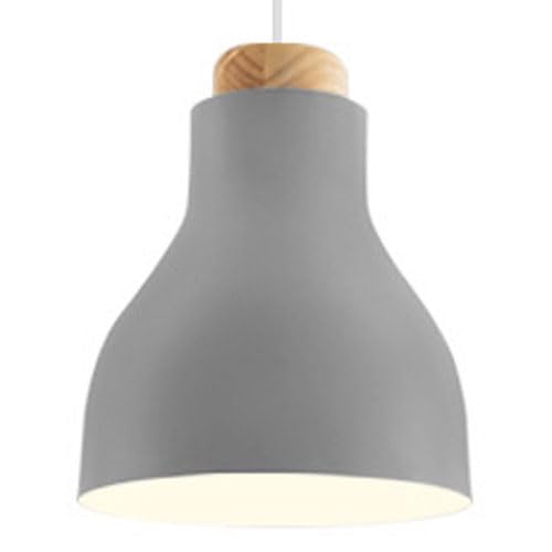 Lampe suspendue à tête unique à vis pour résoudre le manque de place au bureau