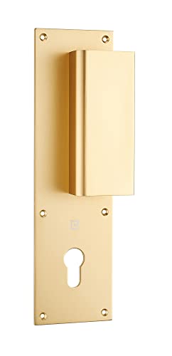 Poignée palière aluminium type Bastille 70x250mm champagne clé I - HERACLES - I-231102CLEI