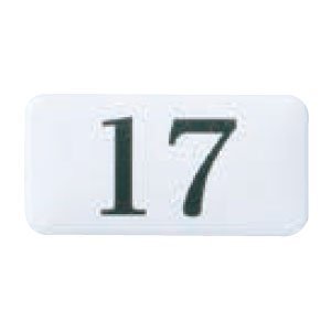 VN} `[NTC No.17 NP-13N-17 40m/m×20m/m×2.0t ؖ