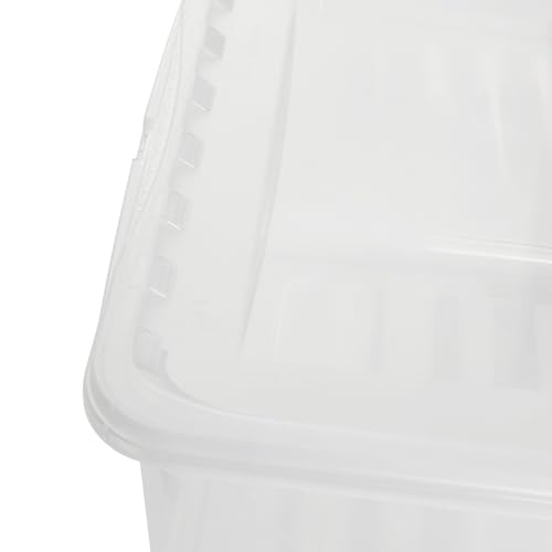 keeeper bea 4x Aufbewahrungsbox mit Air Control System, 39 x 26,5 x 14 cm, 11 l, Transparent