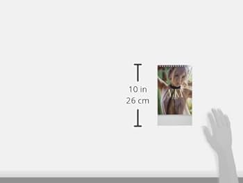 Amazon.co.jp: わくわく製作所 卓上 AIKA 2022年 カレンダー CL22-1768