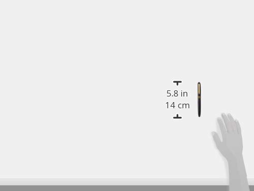 Amazon | プラチナ万年筆 万年筆 #3776肥後象嵌 イチョウ 中字 PTB