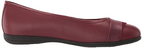Image of Trotters Danni