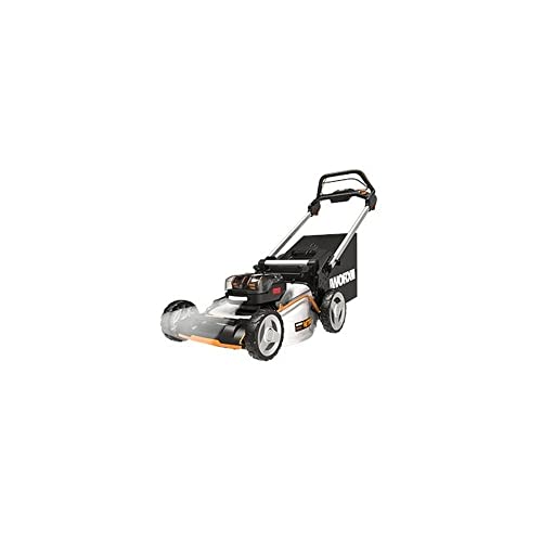 Worx 21